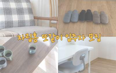 [공지] 한국성폭력상담소 자립홈 또같이 입주자 모집